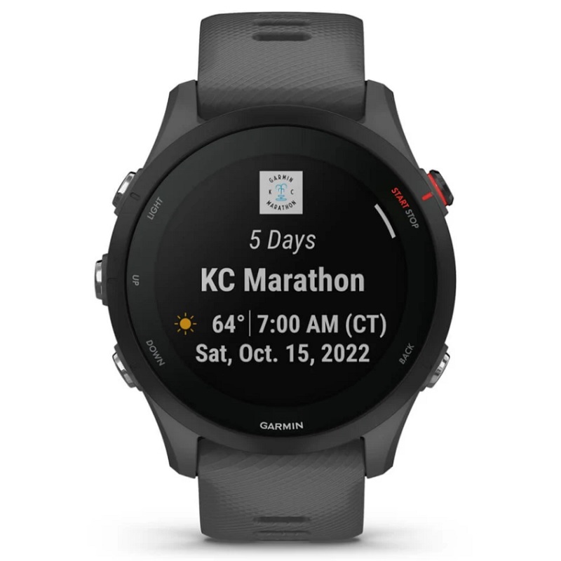 Умные часы Garmin Forerunner 255 Slate Gray (010-02641-10)