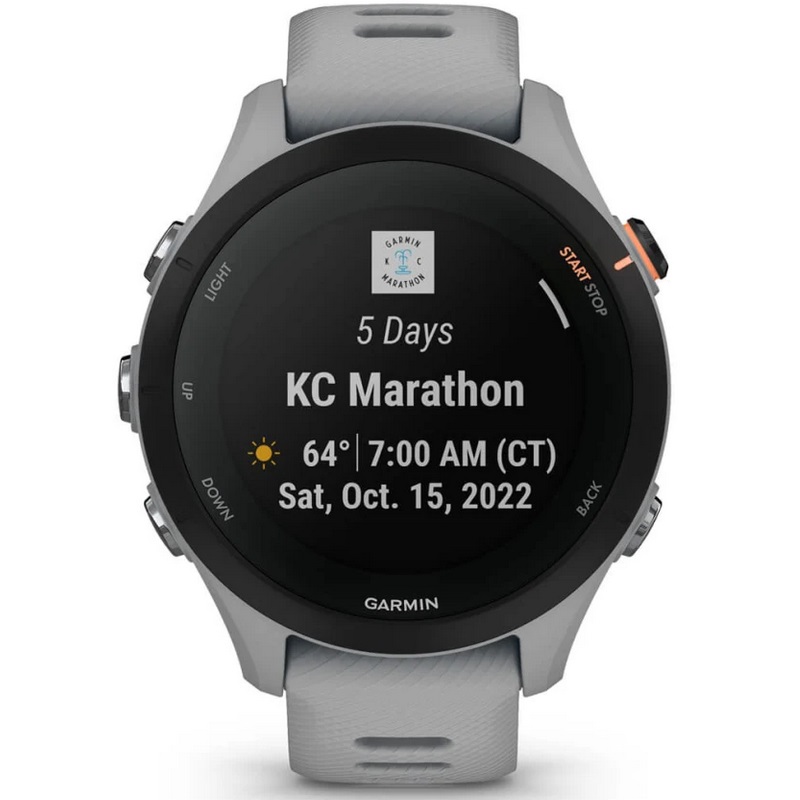 Умные часы Garmin Forerunner 255S Powder Grey (010-02641-12)