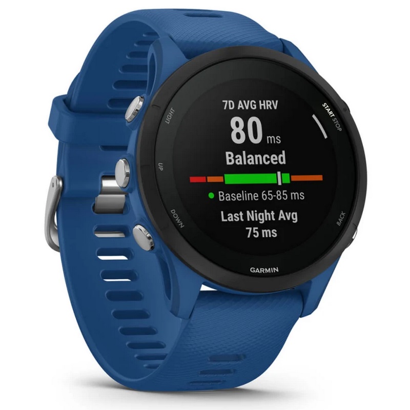 Умные часы Garmin Forerunner 255 Tidal Blue (010-02641-11)