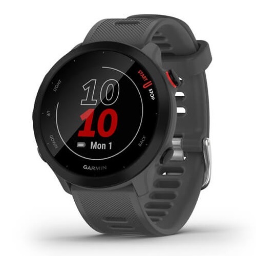 Умные часы Garmin Forerunner 55 Monterra Grey (010-02562-13)