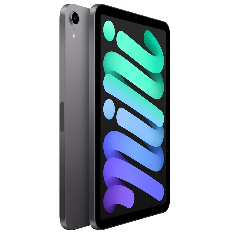 Планшет Apple iPad mini (2021) 256Gb Wi-Fi Space Gray