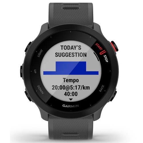 Умные часы Garmin Forerunner 55 Monterra Grey (010-02562-13)