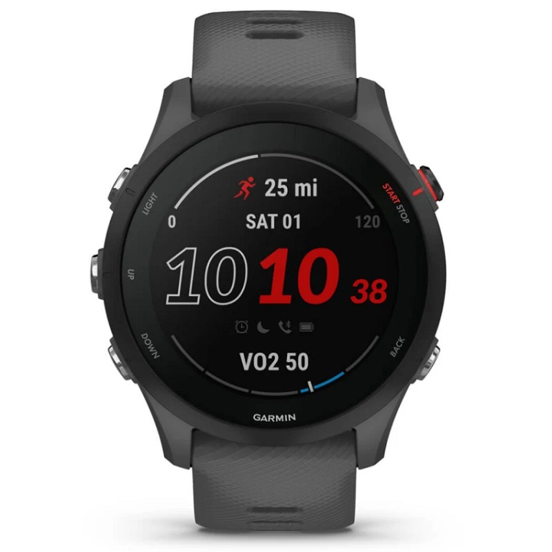 Умные часы Garmin Forerunner 255 Slate Gray (010-02641-10)